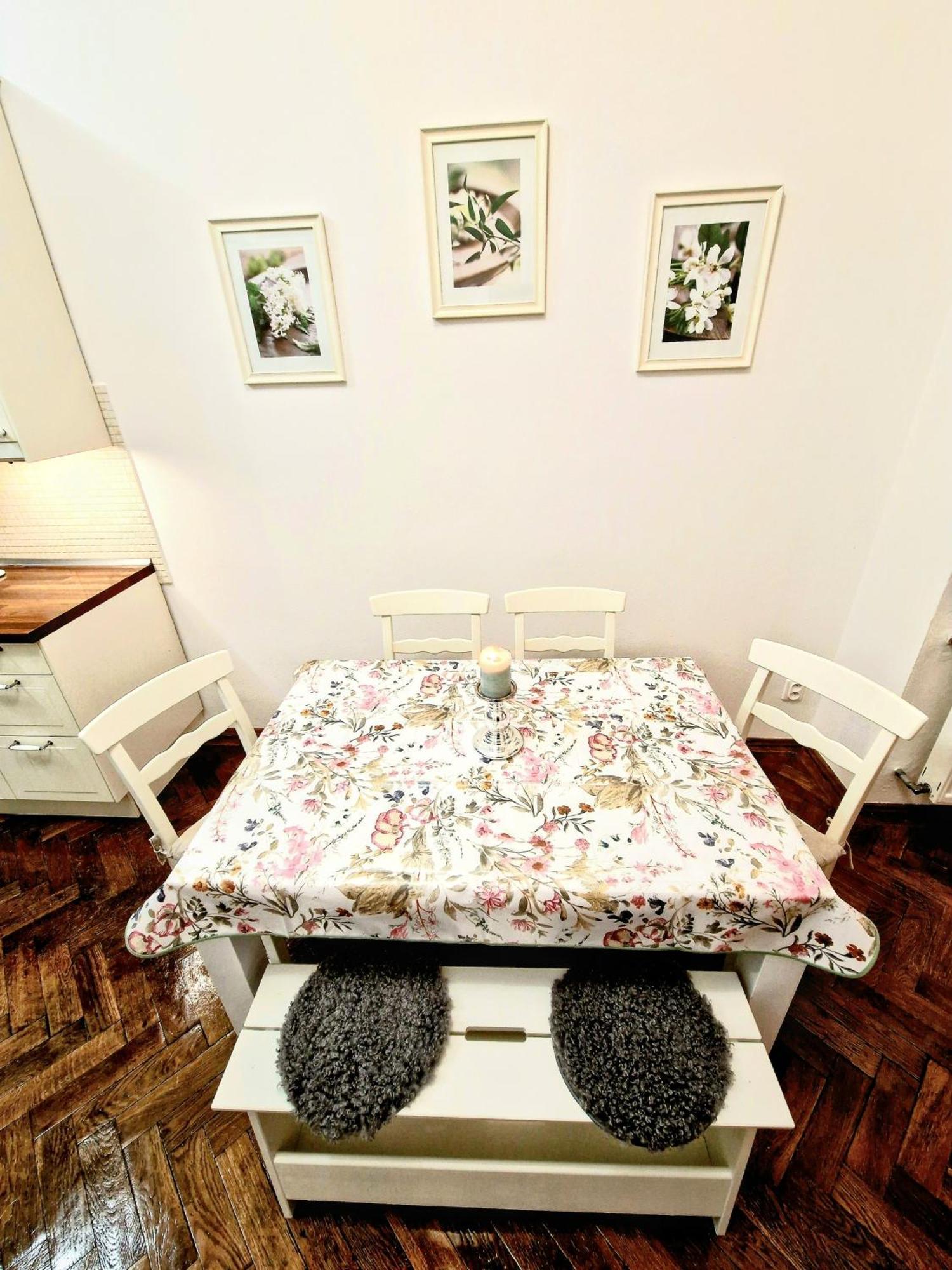 Marina Old Town Apartment 코시체 외부 사진